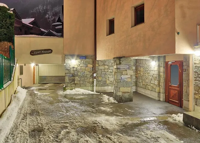 Carabiner: Espace Montagne * Chamonix